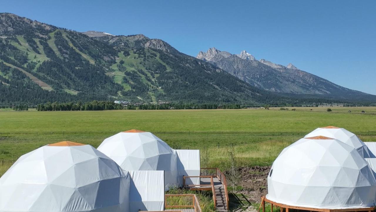 Tammah Jackson Hole Hotel Уилсън Екстериор снимка